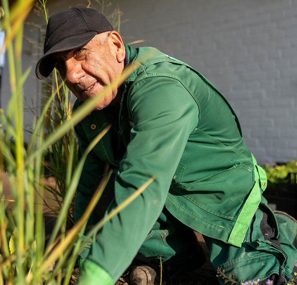 En mand i grøn jakke knæler i en have og plejer planterne.