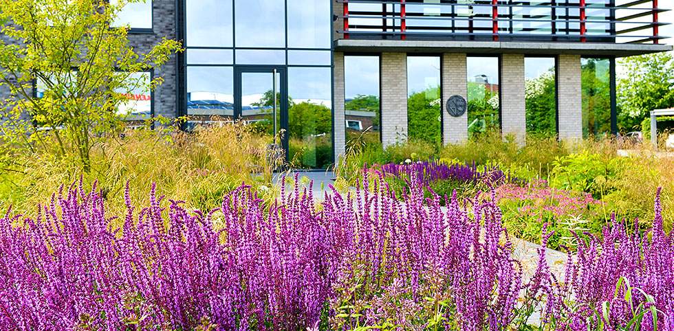 Ein modernes Gebäude mit lila Blumen davor, die eine lebendige und farbenfrohe Stadtlandschaft schaffen.