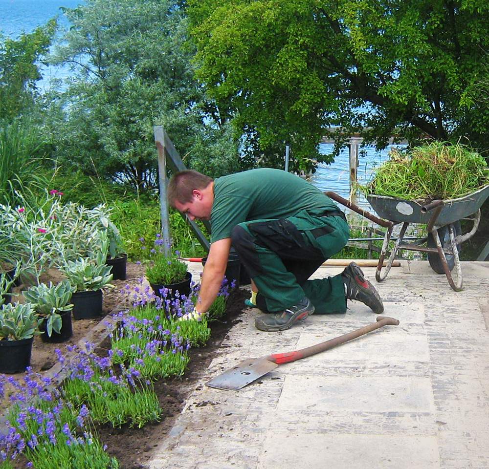 Ein Mann arbeitet an der Landschaftsgestaltung in einem Garten.