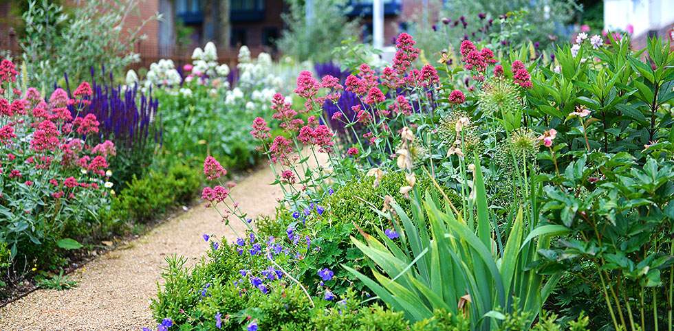 En have med et bredt udvalg af farverige og forskelligartede blomster.