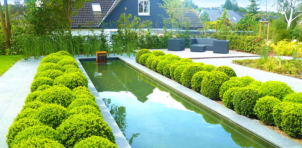 Ruhige Gartenanlage mit Teich und kleinem Garten, eingebettet in eine üppige Pflanzenwelt.